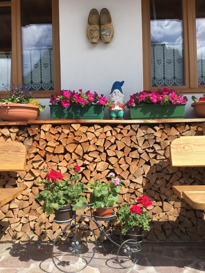 B&B Solder Chalet Dolomiti 사파다 외부 사진